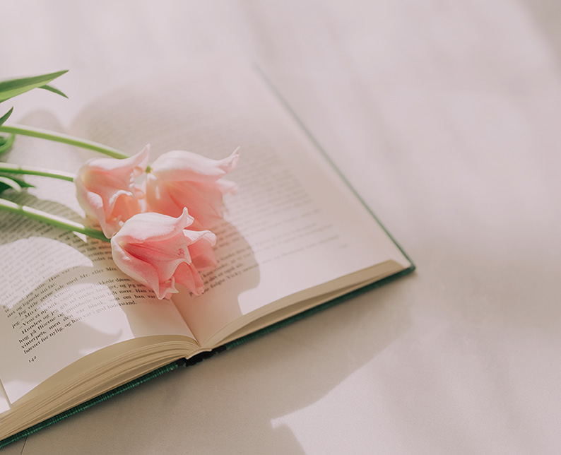 美 イメージ写真