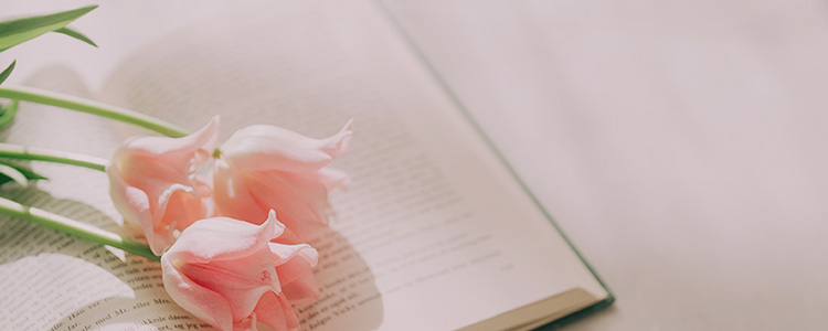 美 イメージ写真