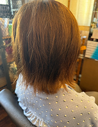 ビフォーの髪質