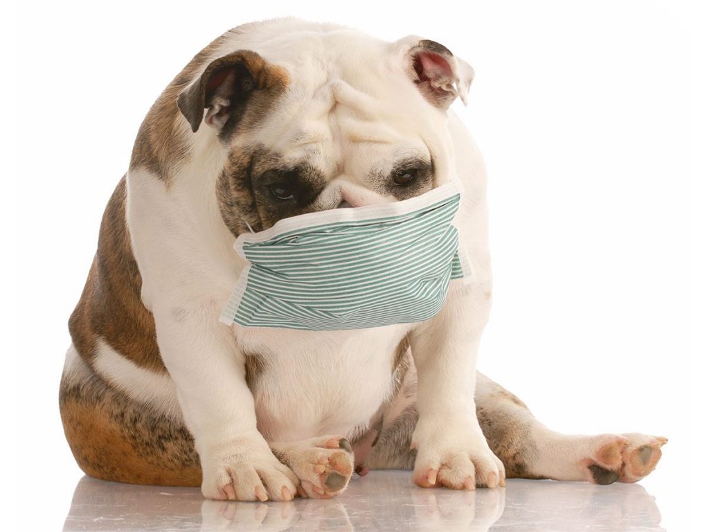 マスクで顔がたるみやすくなる対処法