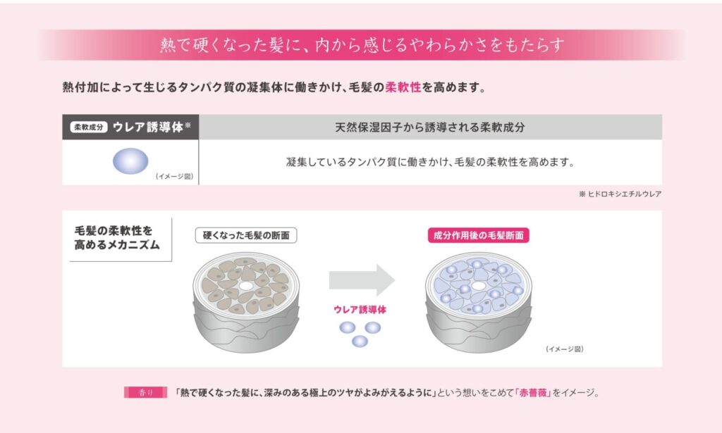 フィルメロウのウレア誘導体が凝集したタンパク質へ働きかけ毛髪の柔軟性を高める仕組み