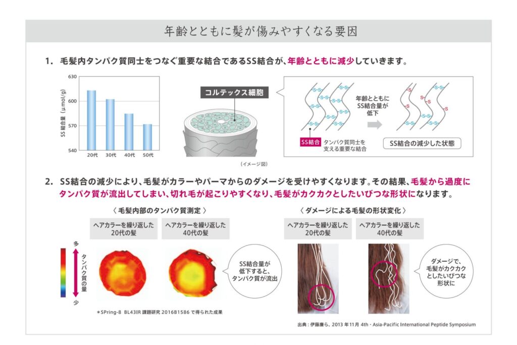年齢とともにSS結合が減少しカラーやパーマの影響を受けやすくなる髪の変化を示したイミュライズ資料