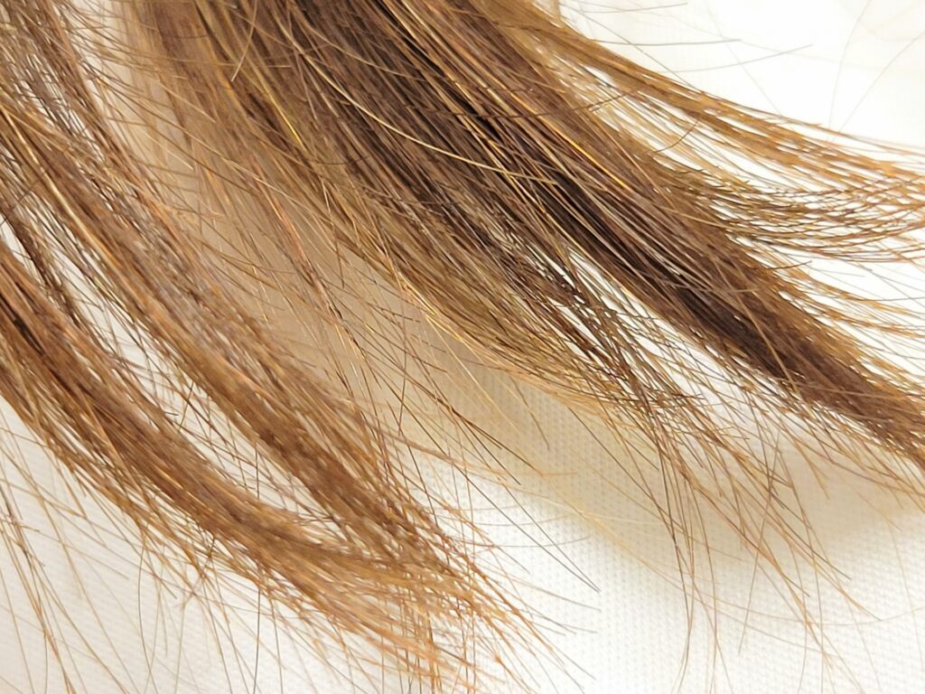 ヘアカラーの褐色解説