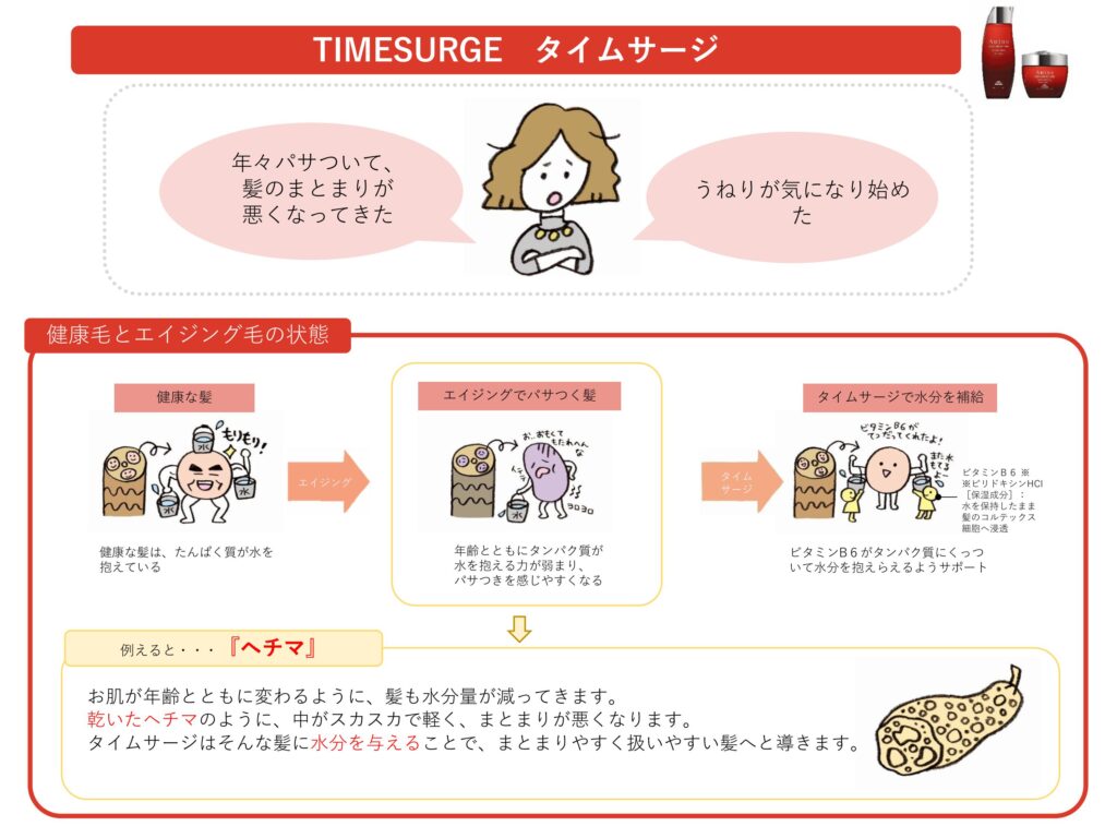 健康毛と年齢変化した髪を比較し、ビタミンB6が毛髪内部の水分量を高めるオージュア タイムサージの仕組みを示した資料