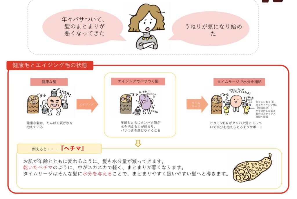 年齢とともに髪の水分保持や弾力が変化し、ツヤとまとまりを感じにくくなる状態を示した資料