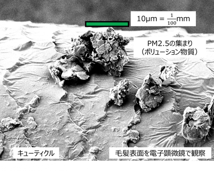 花粉が付着した髪