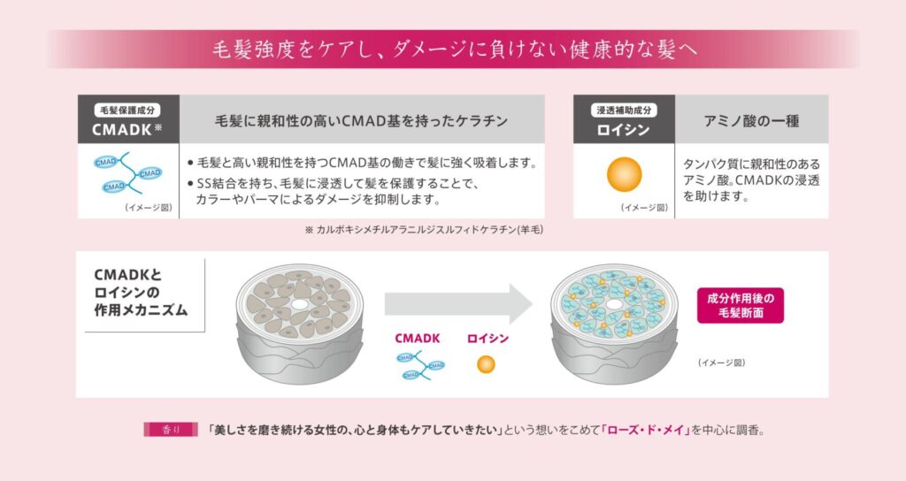 CMADKが毛髪へ吸着しロイシンが浸透を助けるイミュライズの毛髪強度ケア資料