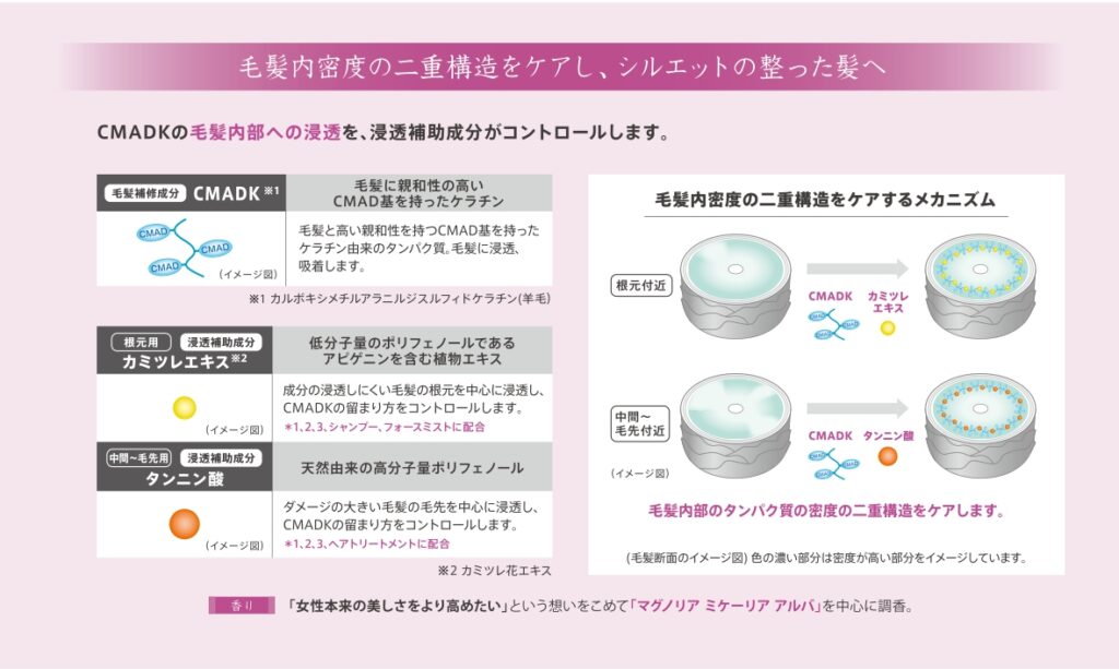 CMADK・カミツレエキス・タンニン酸で根元と毛先の毛髪内密度をケアするオージュア エクイアル資料
