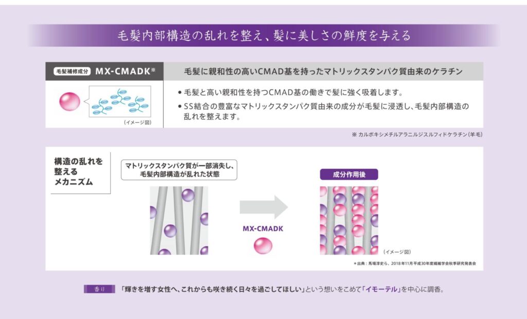 MX-CMADKが毛髪内部に浸透・吸着し内部構造の乱れを整えるオージュア ディオーラムのメカニズム資料