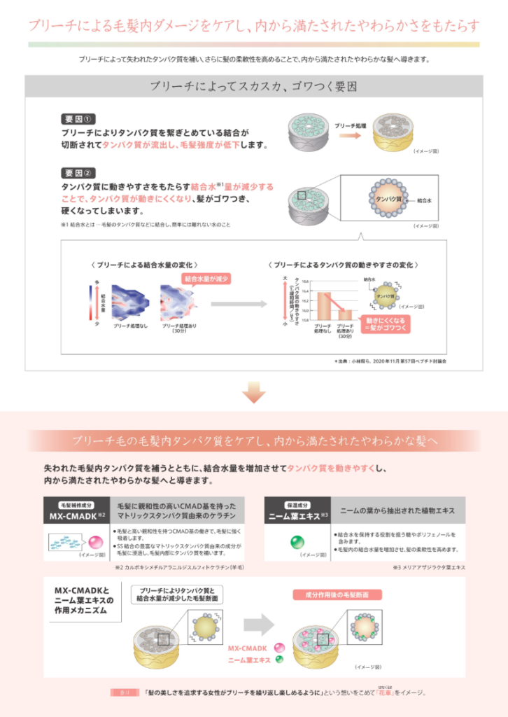 リペアリティのMX-CMADKとニーム葉エキスがブリーチ毛のタンパク質と柔軟性を補う仕組み