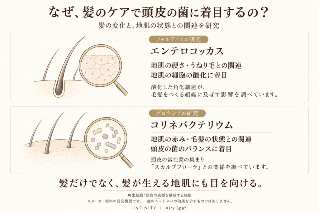 エンテロコッカスと地肌の硬さ・うねり毛・細胞の酸化、コリネバクテリウムと地肌の赤み・毛髪の状態について、メーカー研究の着眼点を整理した図。