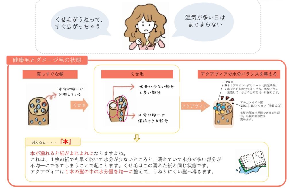 湿気によってくせ毛の水分状態に偏りが生じ、うねりと広がりが出る仕組みを示した資料