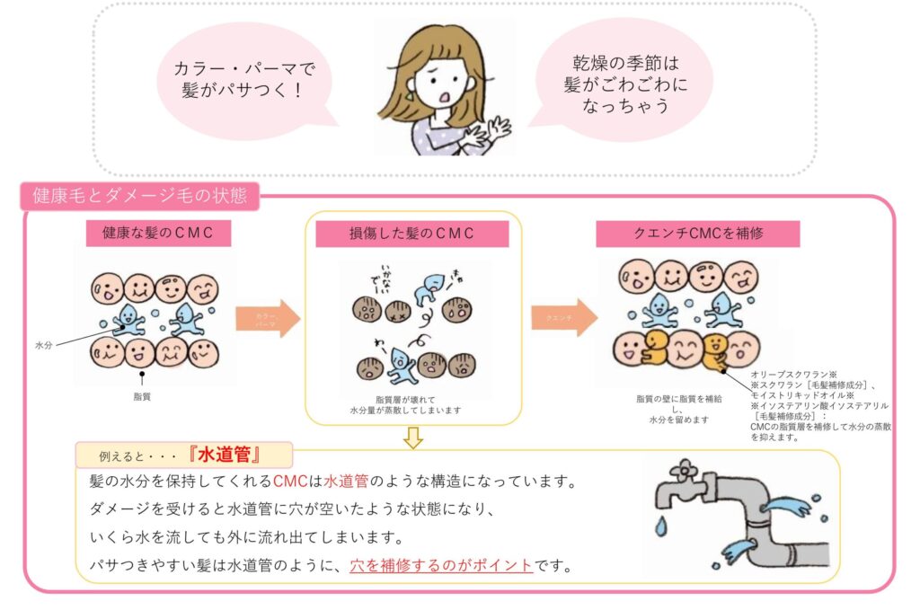 乾燥により髪の水分や脂質を保ちにくくなり、毛先がパサついて広がる状態を示した資料