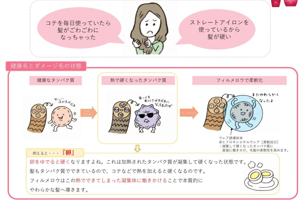 アイロンやコテの熱が重なって毛先が硬くなり、ツヤとまとまりを失う状態を示した資料