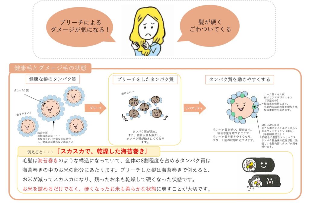 カラー・パーマ・ブリーチの履歴により毛髪内部とキューティクルが損傷し、髪が広がる状態を示した資料
