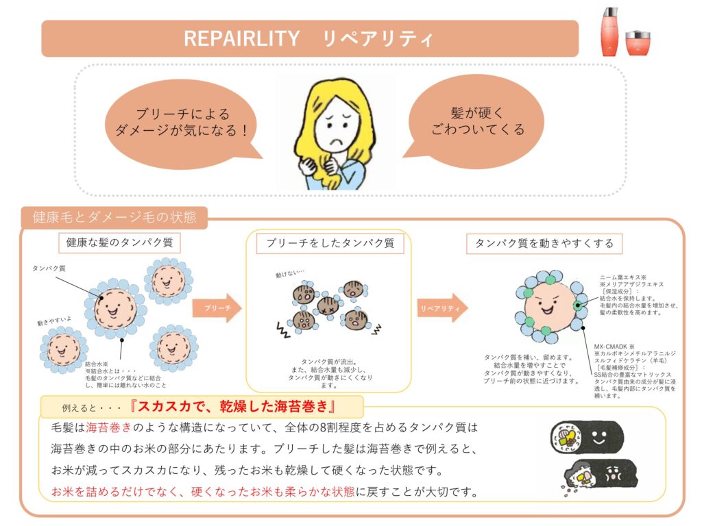 ブリーチによるタンパク質流出と毛髪内部のスカスカ感が生じる仕組み