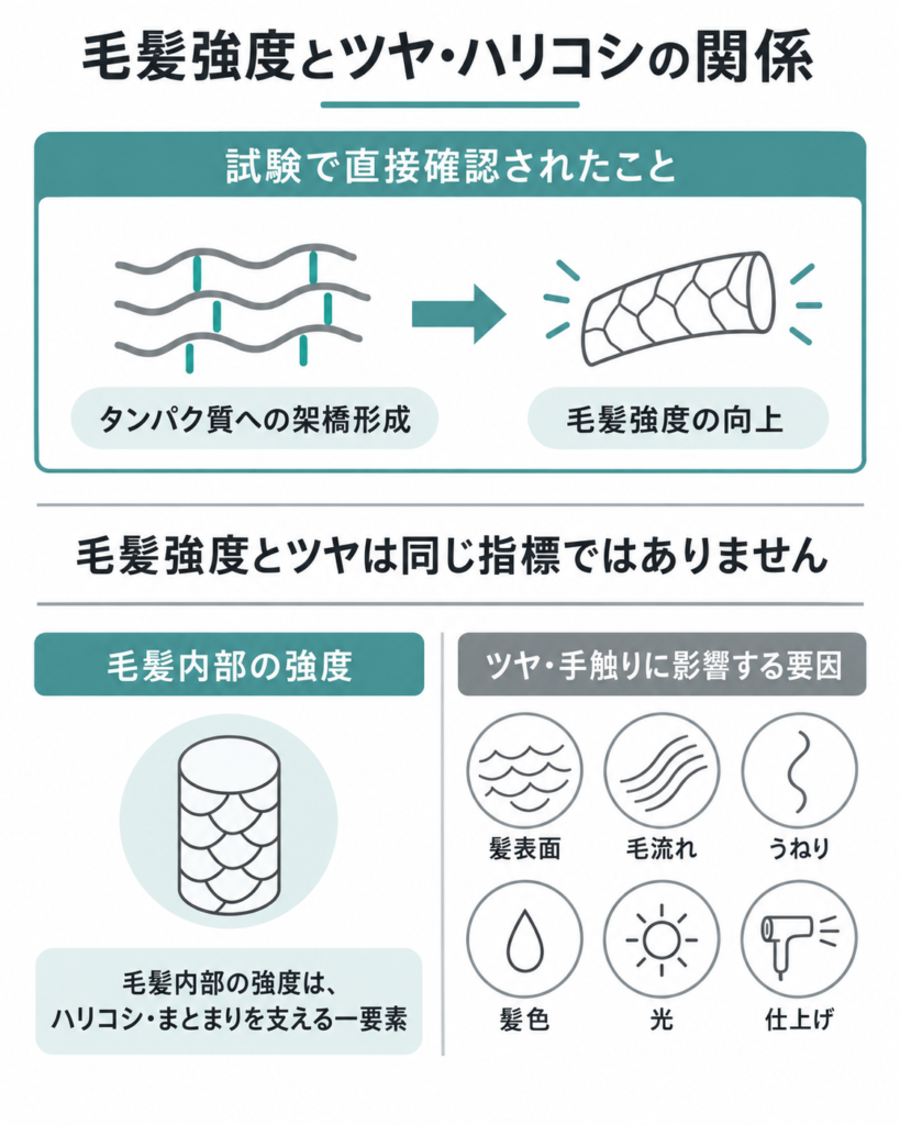 毛髪強度とツヤ・ハリコシの関係を示した図。タンパク質への架橋形成と毛髪強度の向上、ツヤや手触りに影響する要因を分けて解説