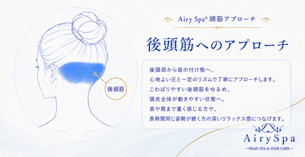 後頭部の下側に位置する後頭筋を青色で示したAiry Spa®解説図