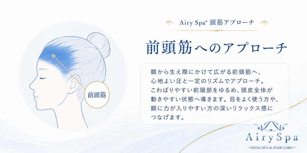 額から生え際に広がる前頭筋を青色で示したAiry Spa®解説図
