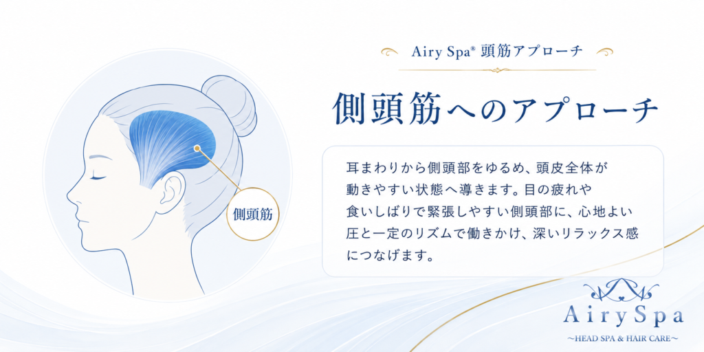 こめかみから耳の上に広がる側頭筋を青色で示した解説図