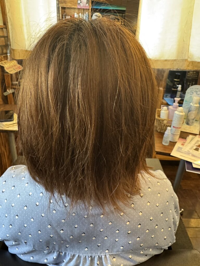 PRETOWAナチュラルベージュカラー施術前の後ろ髪の状態