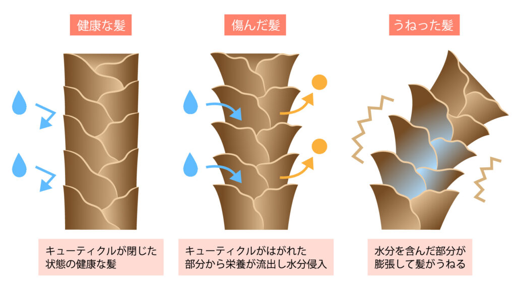 ヘアカラーの染料が髪内部から少しずつ流出する仕組みの説明