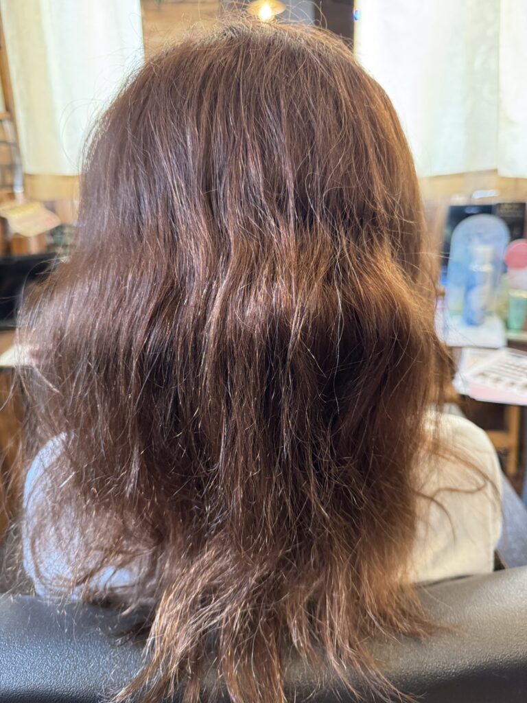 褪色による明るさと毛先の広がりが見られるカラー施術前
