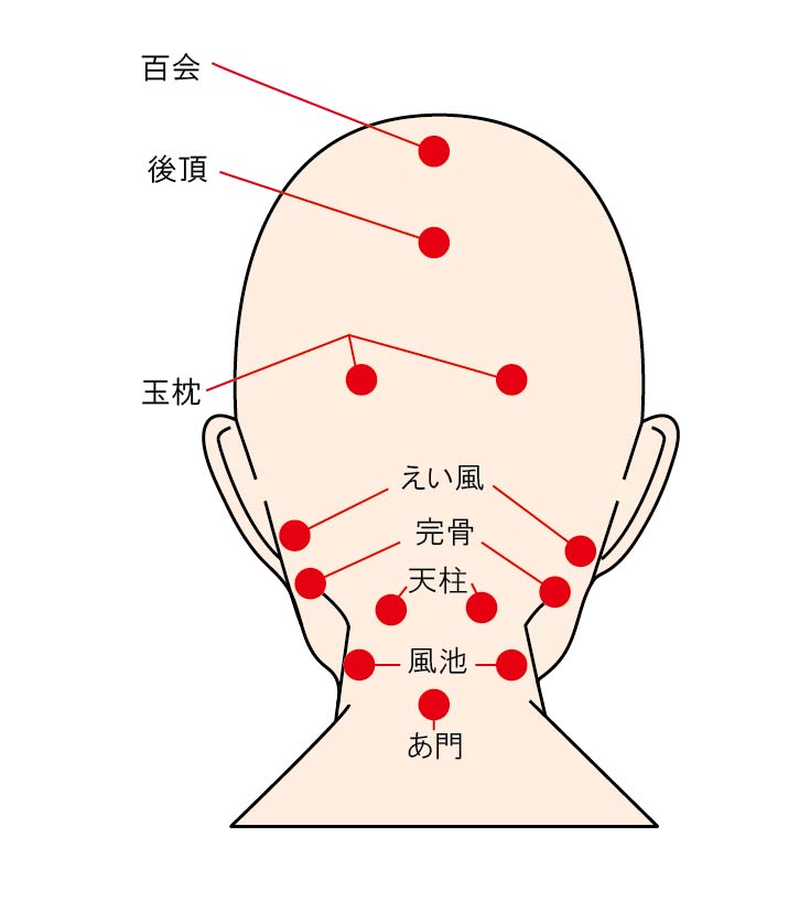 後頭部から首の付け根をやさしく押す頭皮ツボマッサージ