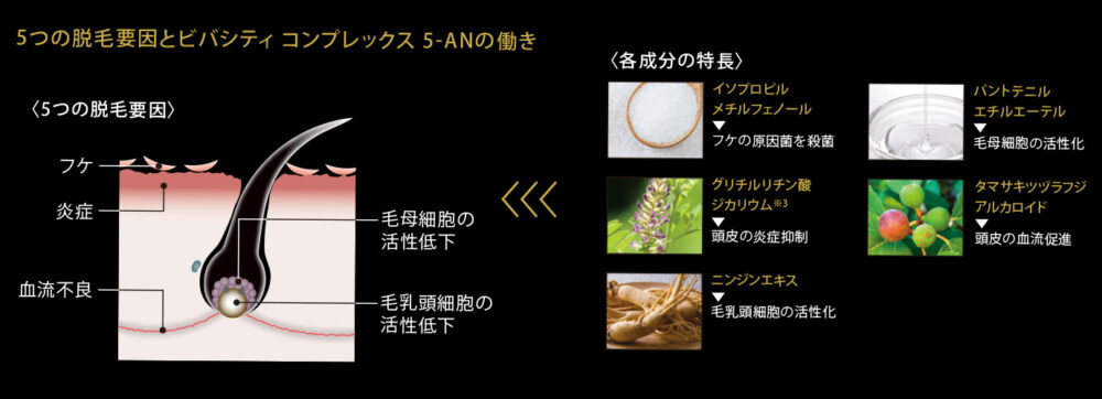 ビバシティ コンプレックス5-ANと5つの脱毛要因を解説した資料画像