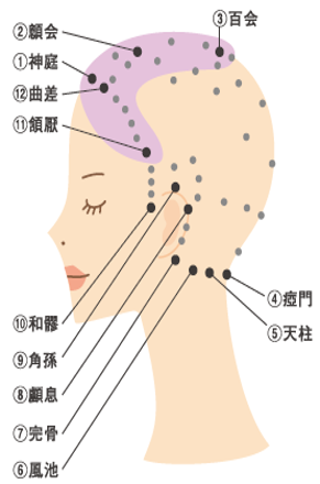頭頂部と生え際の頭皮ツボマッサージ位置を示した展開図
