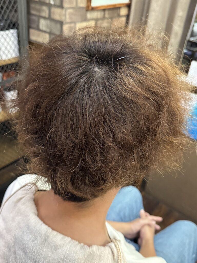 カラーが抜けて黄みとオレンジみが目立つパーマヘアの施術前