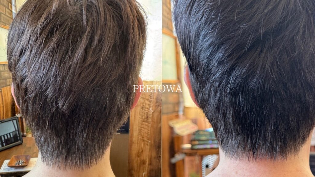 プレトワナチュラル5レベルで白髪を染めた実例